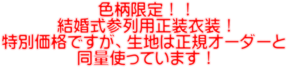 色柄限定！！ 結婚式参列用正装衣装！ 特別価格ですが、生地は正規オーダーと 同量使っています！